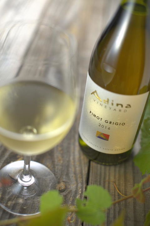 Adina Vineyard - Gold Coast 7