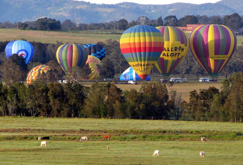 Adina Vineyard - Gold Coast 9