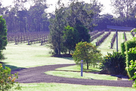 Adina Vineyard - Gold Coast 14