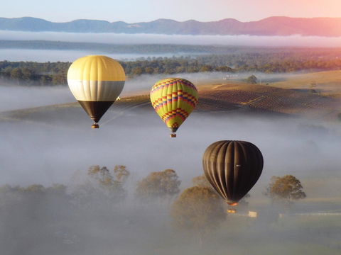 Adina Vineyard - Gold Coast 21