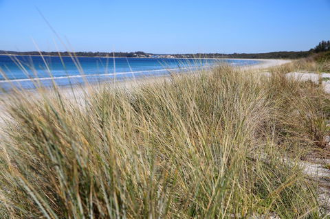Sandy Toes Beach House Jervis Bay - 2min To Beach - Tourism Gold Coast 23