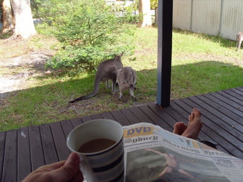 Bush & Bay Cottage - Tourism Gold Coast 29