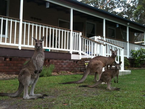 Bush & Bay Cottage - Tourism Gold Coast 30