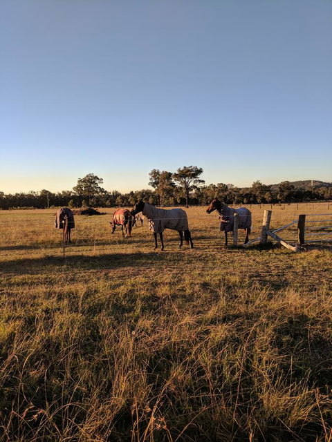 Madigan Wine Country Cottages - Tourism Gold Coast 8