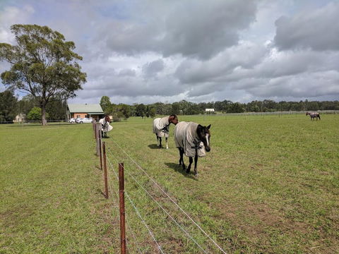 Madigan Wine Country Cottages - Tourism Gold Coast 9