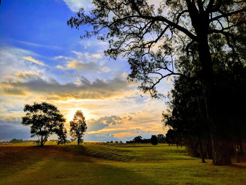 Madigan Wine Country Cottages - Tourism Gold Coast 11