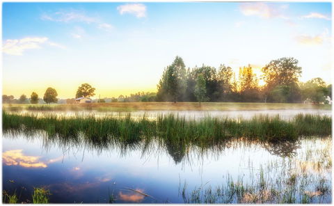 Madigan Wine Country Cottages - Tourism Gold Coast 19