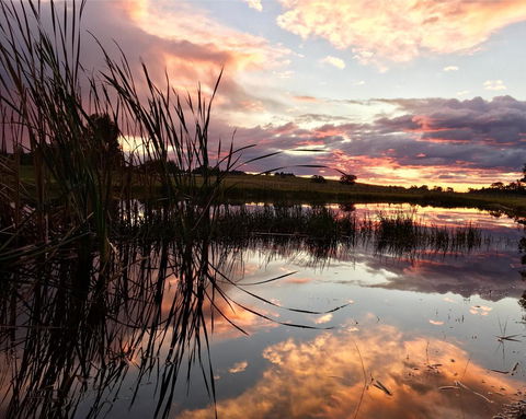 Madigan Wine Country Cottages - Tourism Gold Coast 16