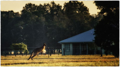 Madigan Wine Country Cottages - Tourism Gold Coast 5