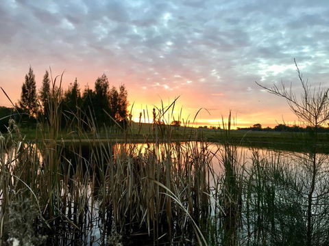 Madigan Wine Country Cottages - Tourism Gold Coast 14