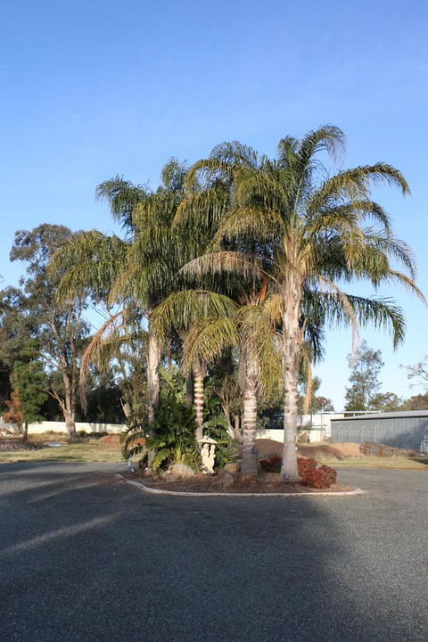 Temora Motel - Gold Coast 6