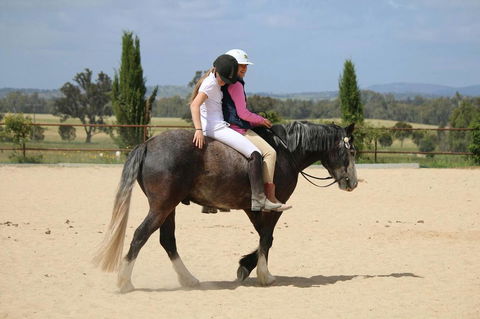 Belisi Farmstay Cottage - Tourism Gold Coast 28