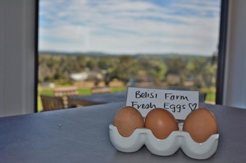 Belisi Farmstay Cottage - Tourism Gold Coast 20