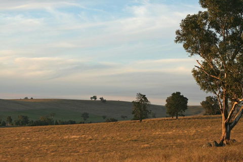 Belisi Farmstay Cottage - Tourism Gold Coast 33