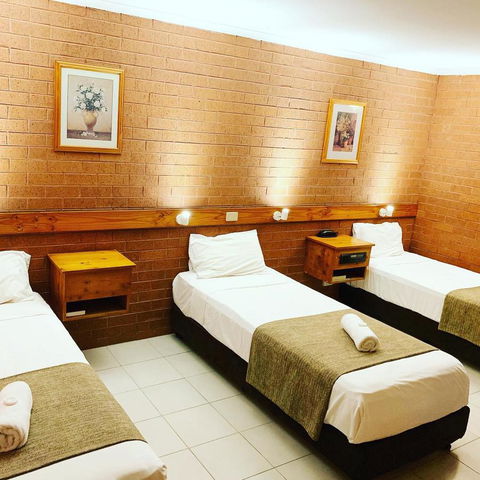 Pine Tree Motel - Tourism Gold Coast 31