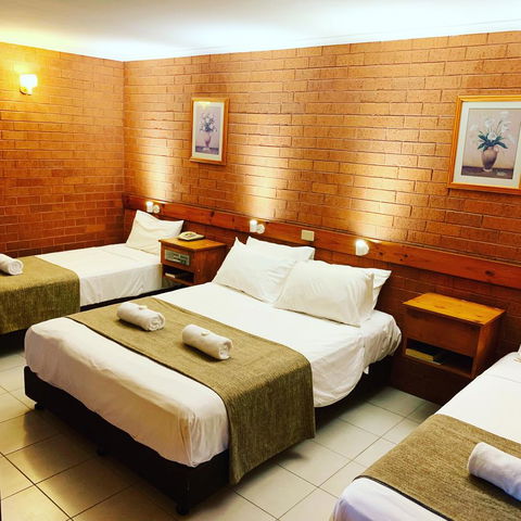 Pine Tree Motel - Tourism Gold Coast 19