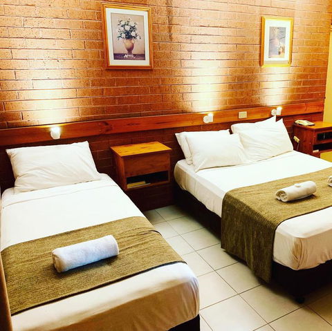 Pine Tree Motel - Tourism Gold Coast 27