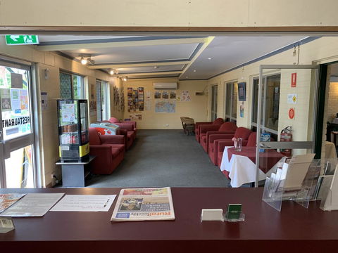 Pine Tree Motel - Tourism Gold Coast 36