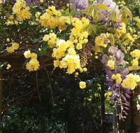 Bowral Road Bed and Breakfast - Tourism Gold Coast