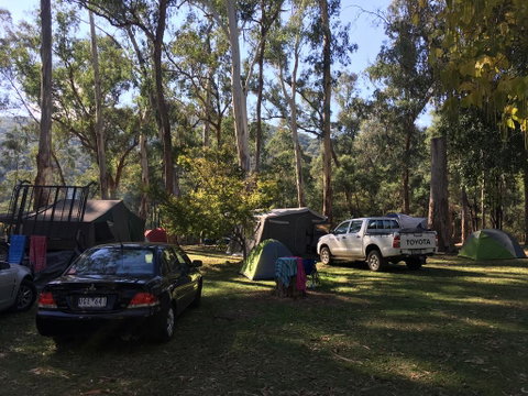 Bright Cabin Park - Tourism Gold Coast 2