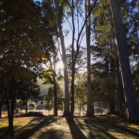 Bright Cabin Park - Tourism Gold Coast 3