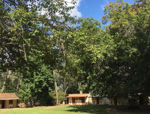 Bright Cabin Park - Tourism Gold Coast 1