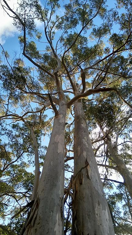 Broxholme B&B - Tourism Gold Coast 3