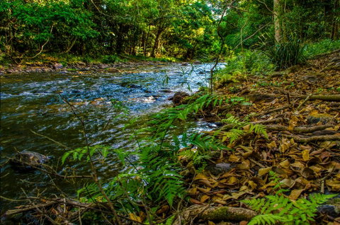 Cairns Homestead: A Peaceful Getaway - Tourism Gold Coast 3