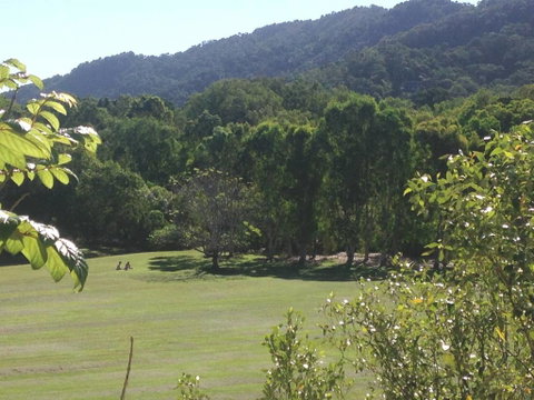 Cairns Rainforest View Resort Apartment - Tourism Gold Coast 2