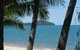 Calypso Corner. - thumb 2