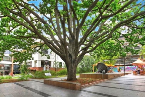 Canberra Luxury Apartment 8 - Tourism Gold Coast 1