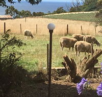 Cape View B and B - Gold Coast