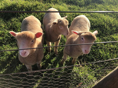 Cape View B And B - Gold Coast 3