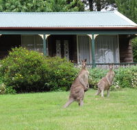 Cedar Lodge Cabins