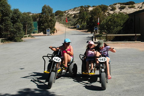 Ceduna Shelly Beach Caravan Park - Gold Coast 1