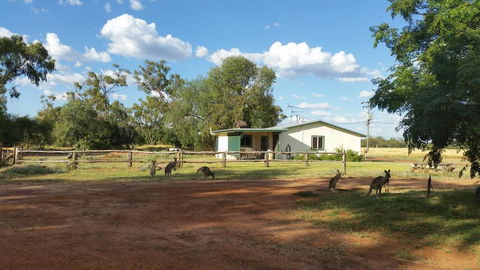 Charleville Bush Cottage - Tourism Gold Coast 1
