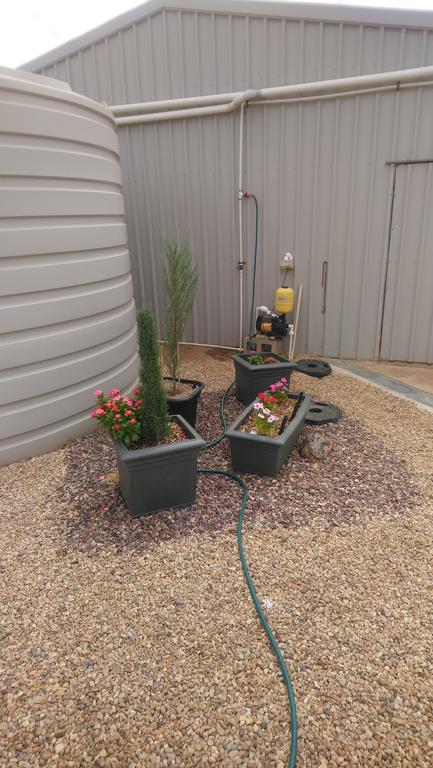 Chrissie's Dongara - Tourism Gold Coast 2