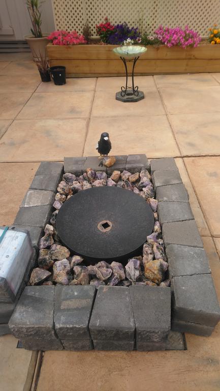 Chrissie's Dongara - Tourism Gold Coast 1