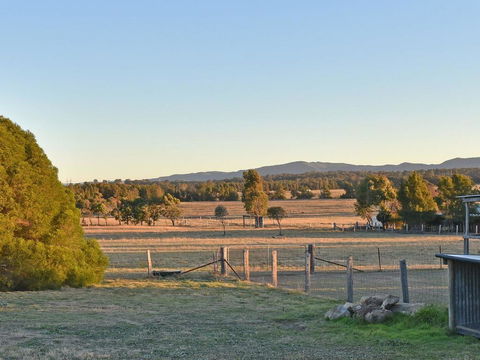 Clydesdale Cottage On Talga With Real Clydesdale Horses - Tourism Gold Coast 1