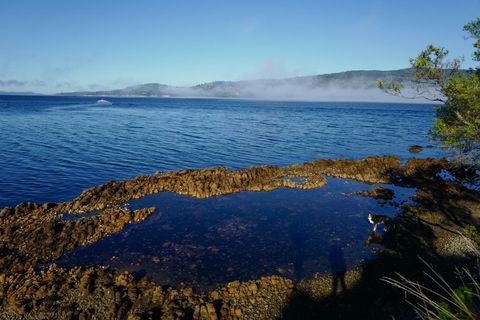 Coast House Tasmania - Tourism Gold Coast 2