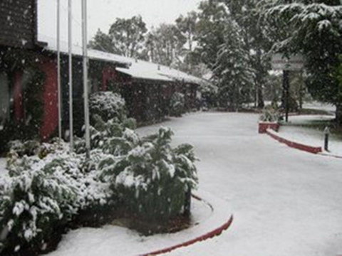 Cottonwood Lodge - Tourism Gold Coast 0