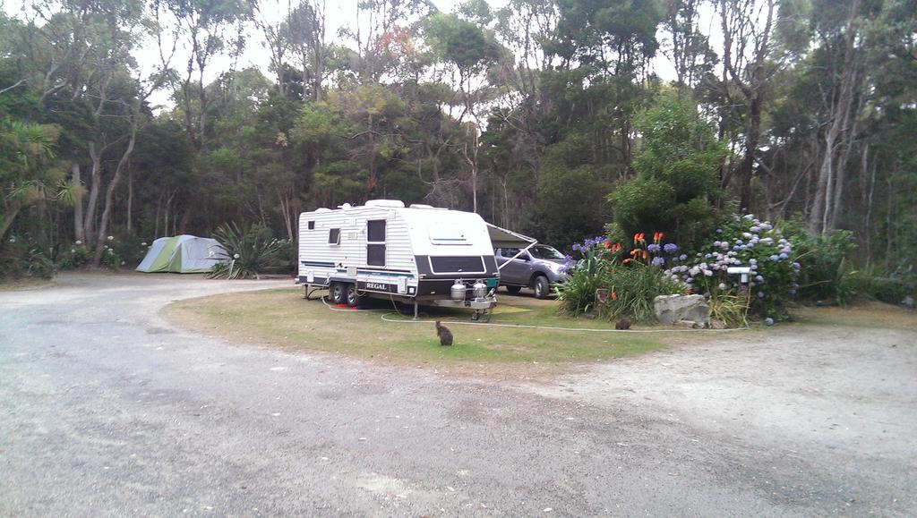 Crayfish Creek TAS Tourism Gold Coast