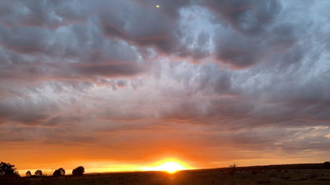 Creative 3D Sculpture Share - Tourism Gold Coast 0