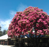 Crossways Country Inn - Tourism Gold Coast