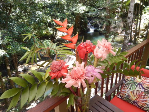Daintree Secrets Rainforest Sanctuary - Tourism Gold Coast 1