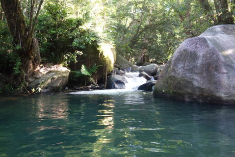 Daintree Secrets Rainforest Sanctuary - Tourism Gold Coast 0