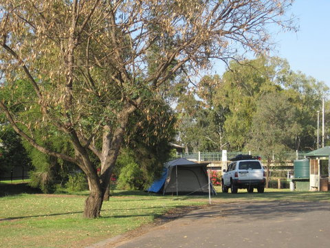 Dalby Tourist Park - Gold Coast 3