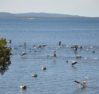Denmark Waters BB - Tourism Gold Coast