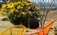 Deshons Retreat - thumb 3