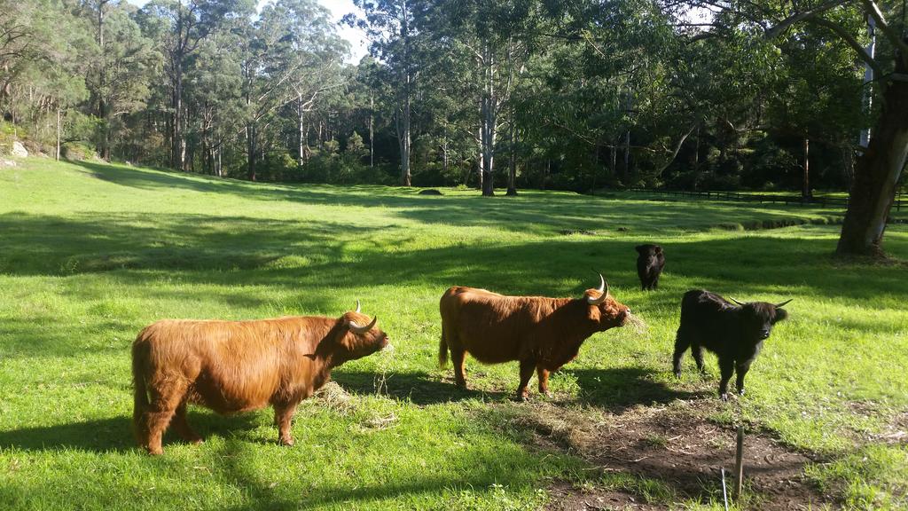 Annangrove NSW Tourism Gold Coast
